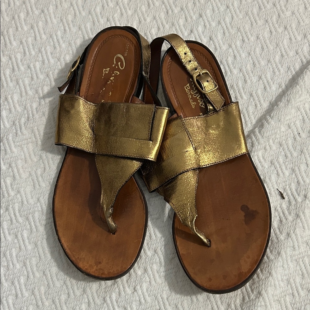 Calypso Bermuda Gold Women's Sandals - 8